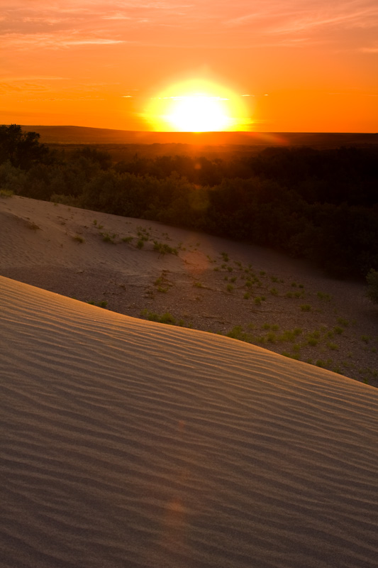 Sunrise And Dune